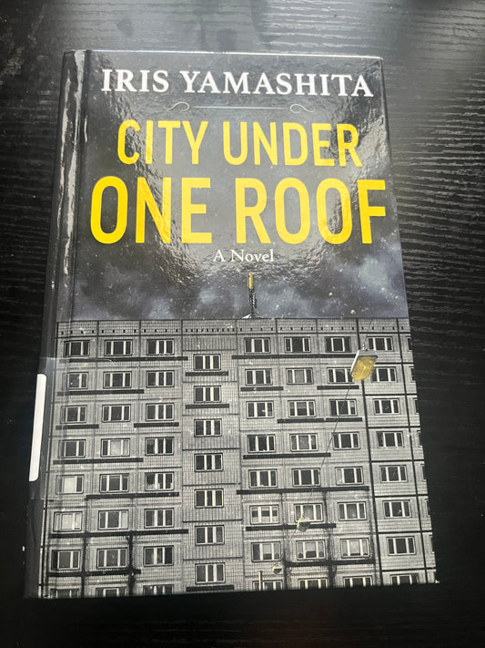 CITY UNDER ONE ROOF by Iris Yamashita