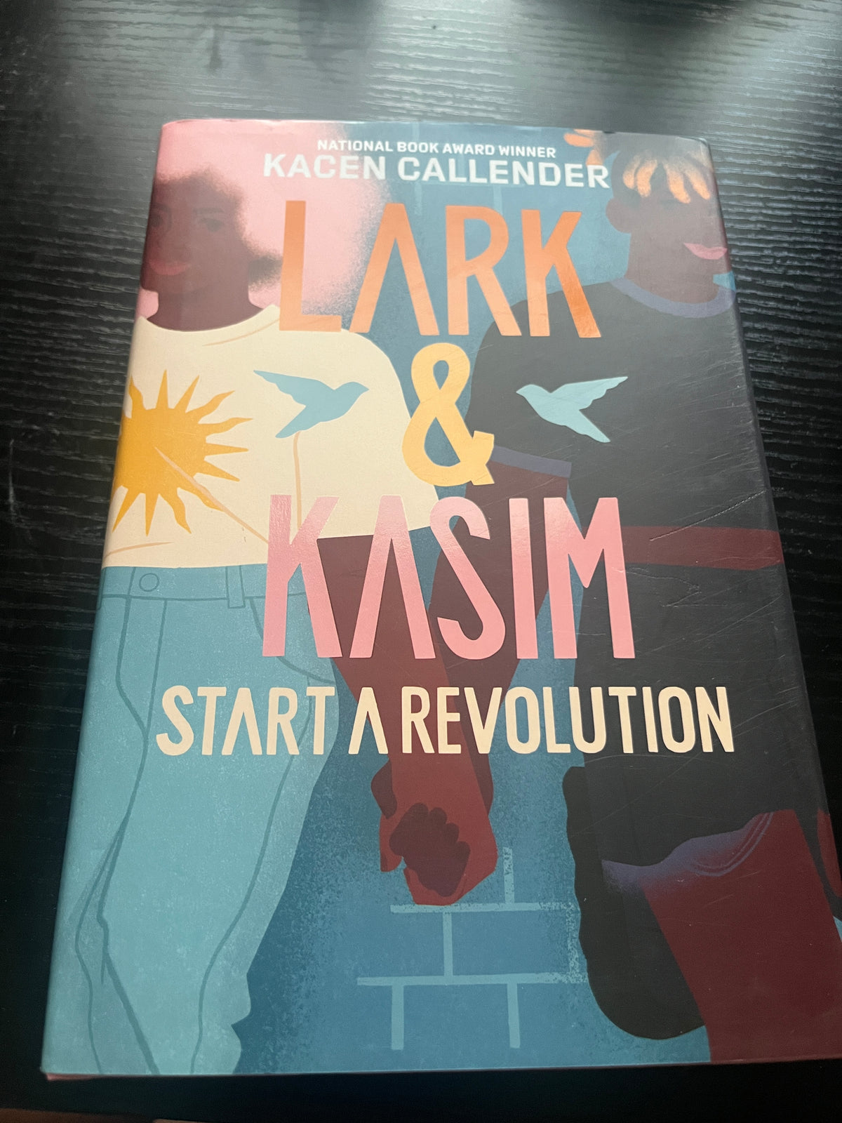 LARK & KASIM START A REVOLUTION: A Novel by Kacen Callender