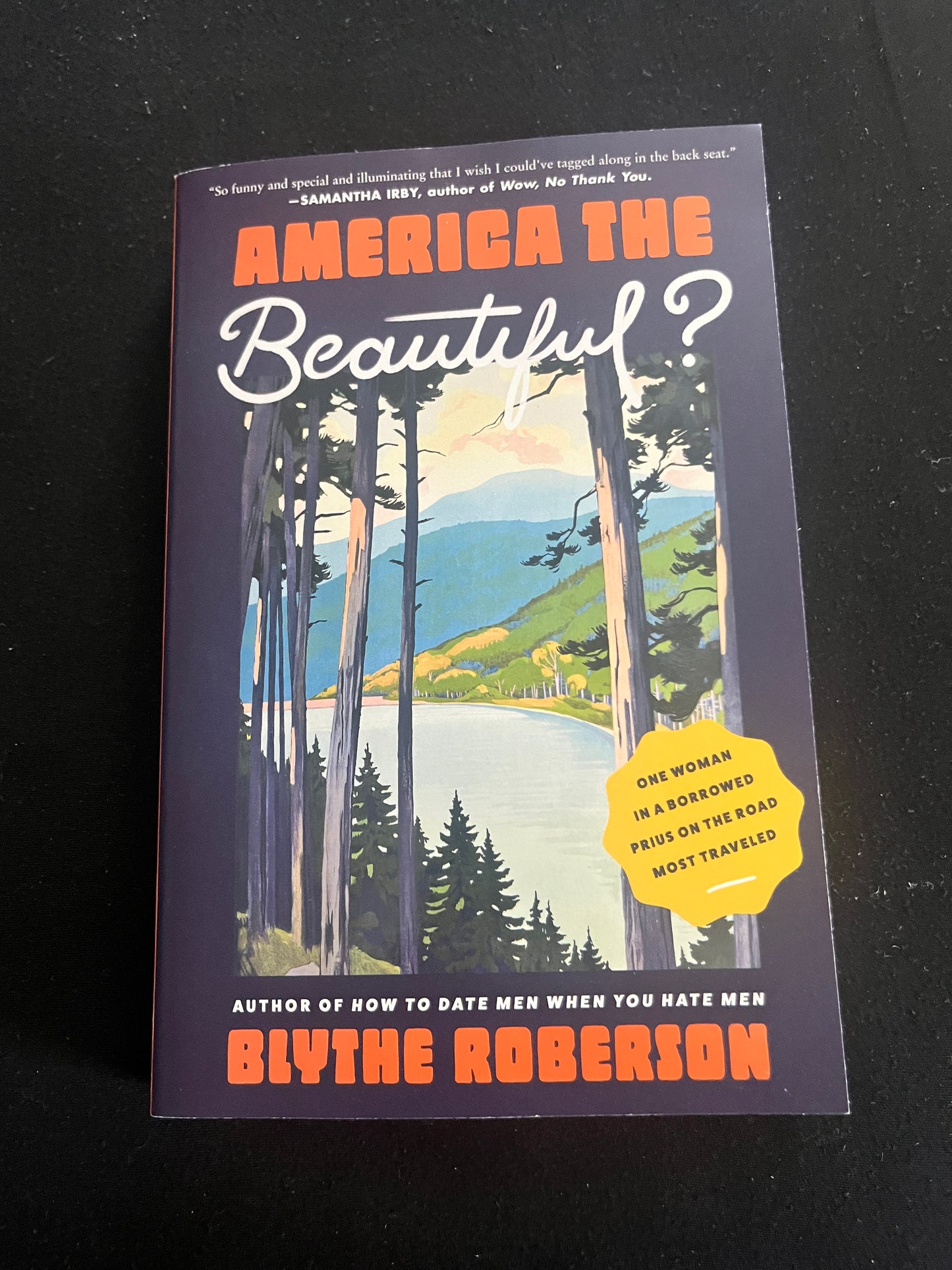 AMERICA THE BEAUTIFUL?: One Woman in a Borrowed Prius on the Road Most Traveled by Blythe Roberson