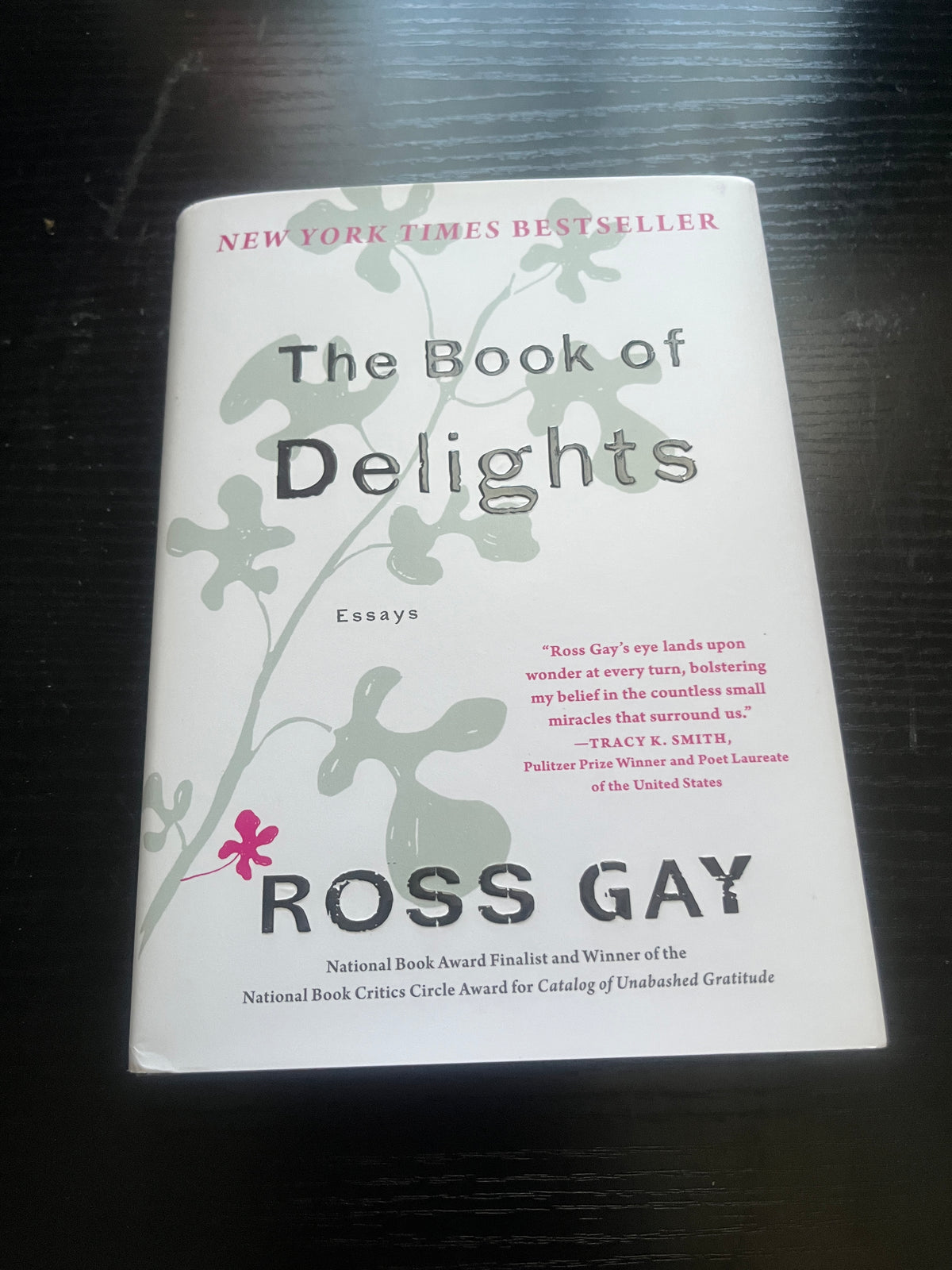 THE BOOK OF DELIGHTS: Essays by Ross Gay