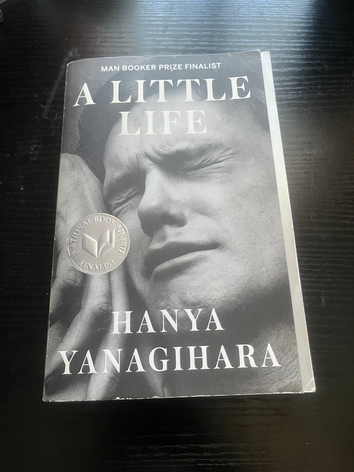 A LITTLE LIFE by Hanya Yanagihara