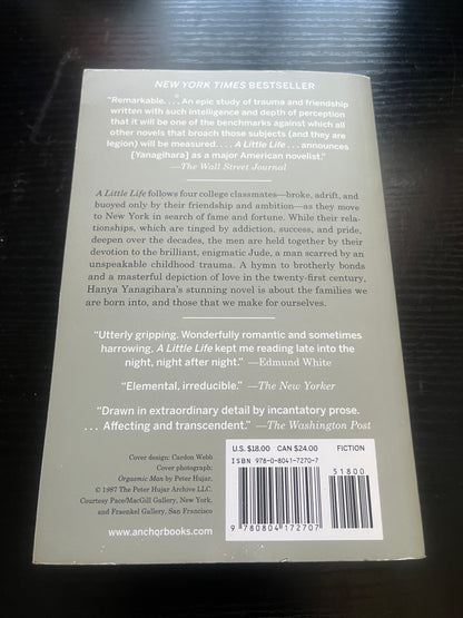 A LITTLE LIFE by Hanya Yanagihara