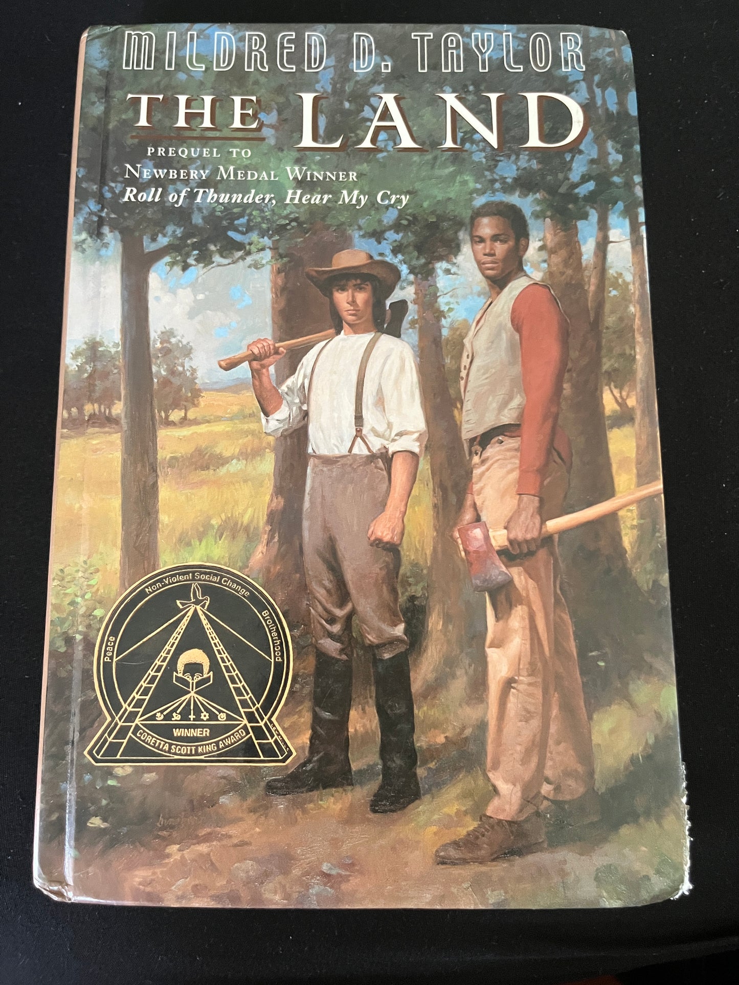 THE LAND by Mildred D. Taylor