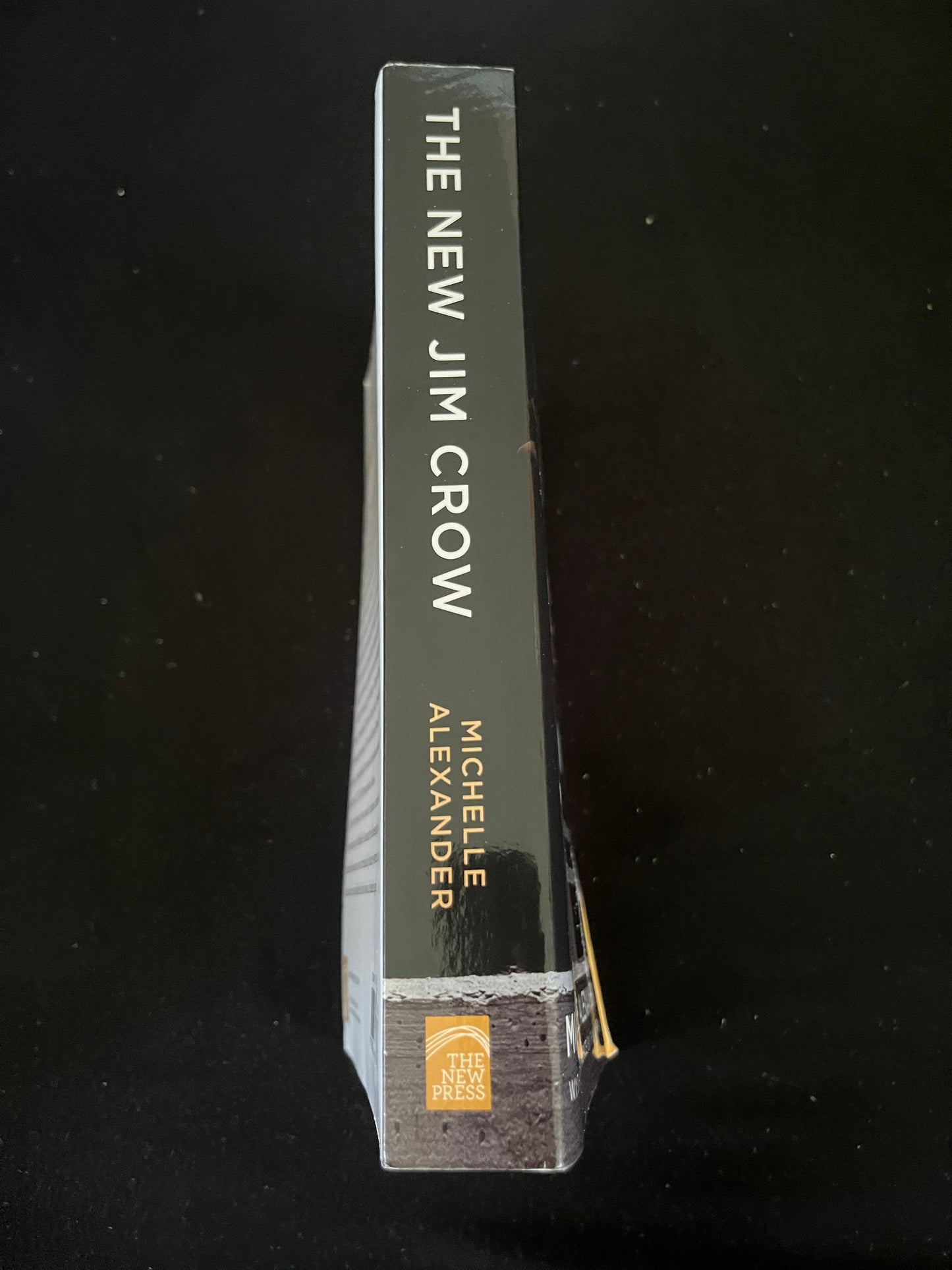 THE NEW JIM CROW: Mass Incarceration in the Age of Colorblindness by Michelle Alexander