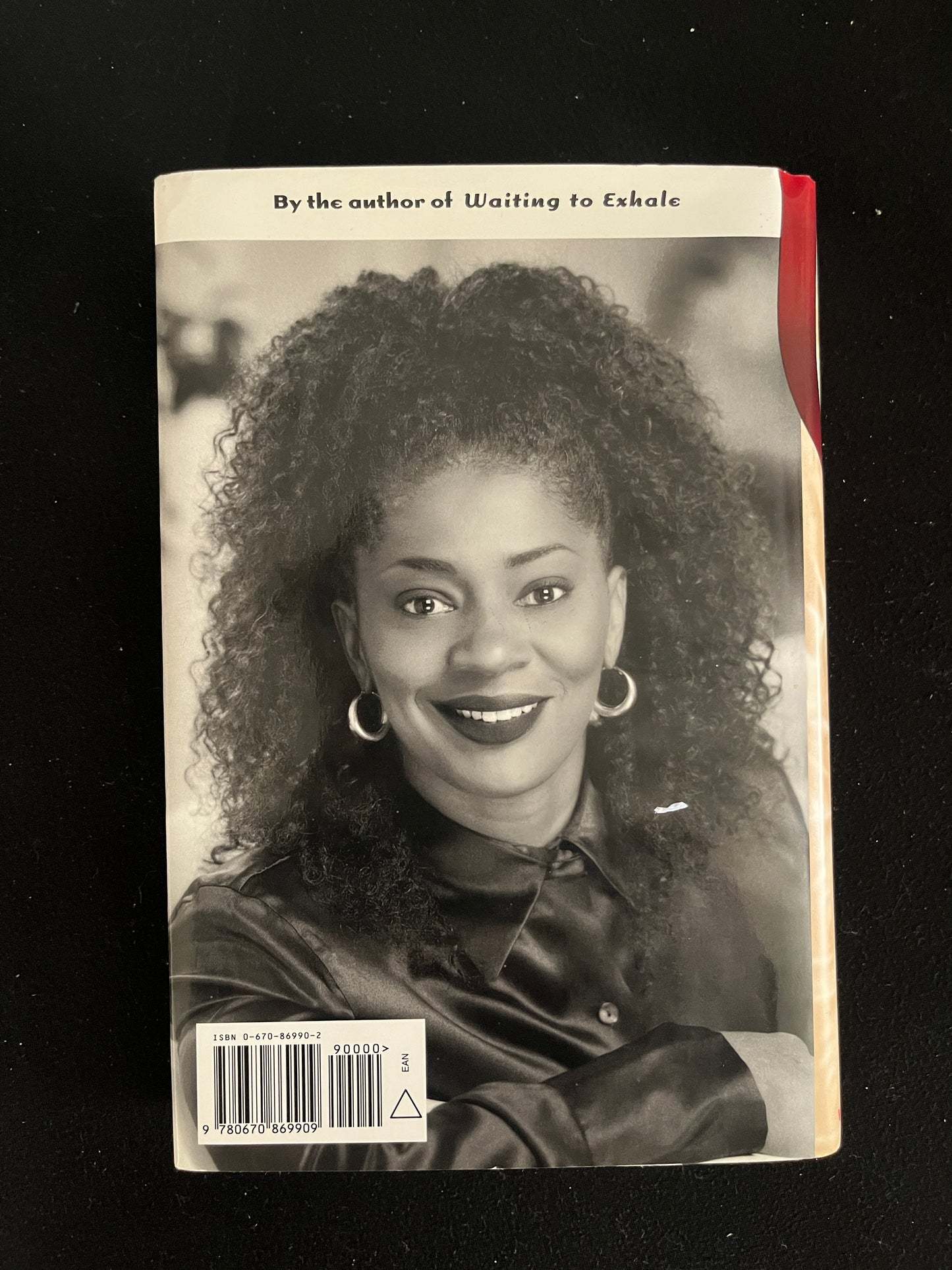 HOW STELLA GOT HER GROVE BACK by Terry McMillan