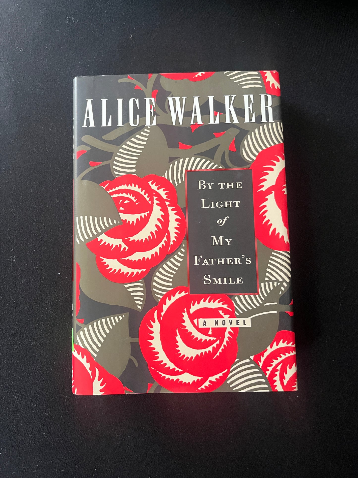 BY THE LIGHT OF MY FATHER'S SMILE by Alice Walker