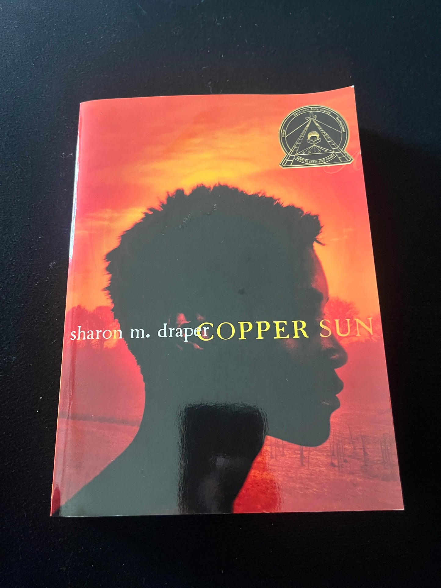 COPPER SUN by Sharon M. Draper