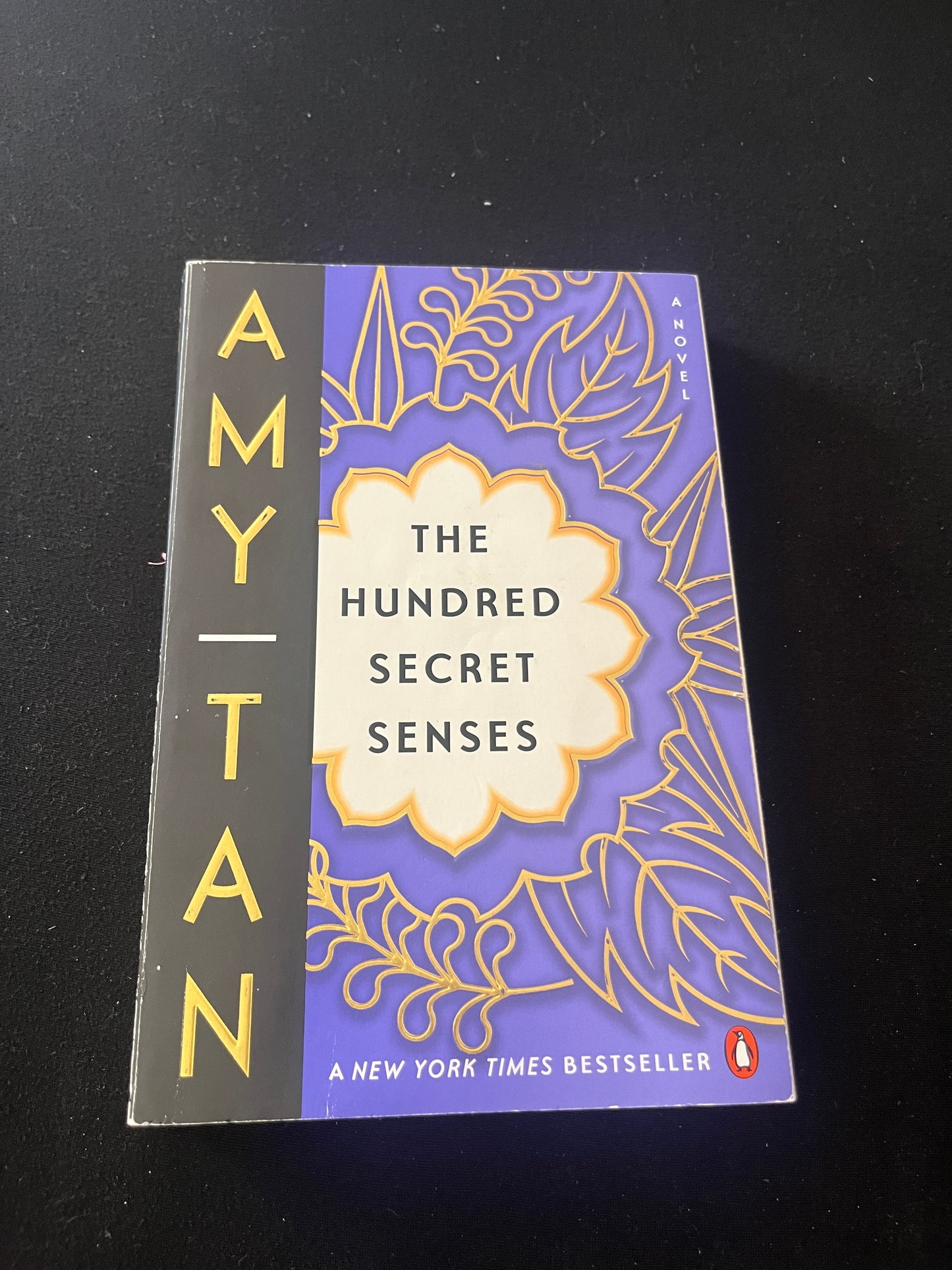 THE HUNDRED SECRET SENSES by Amy Tan