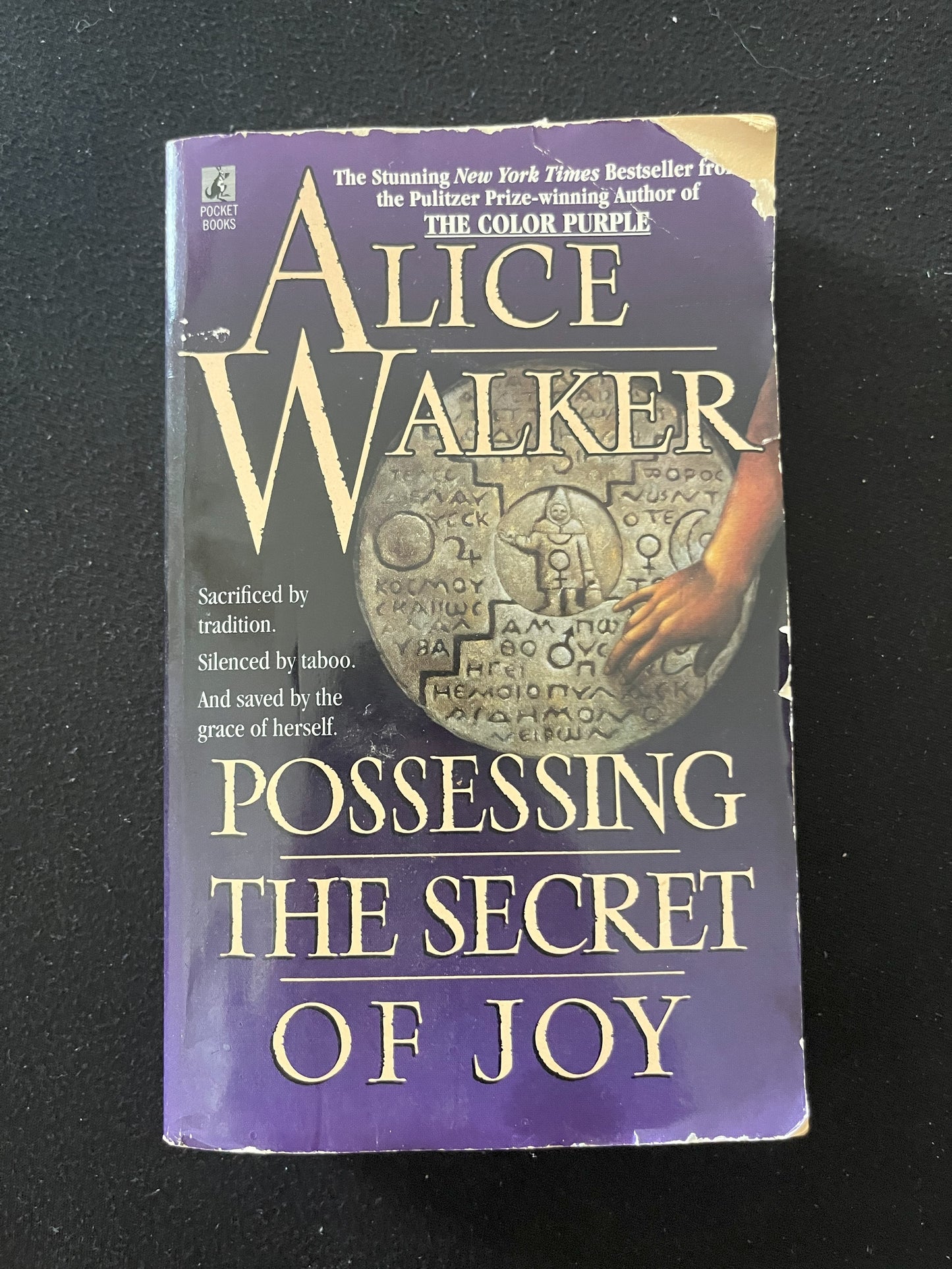 POSSESSING THE SECRET OF JOY by Alice Walker
