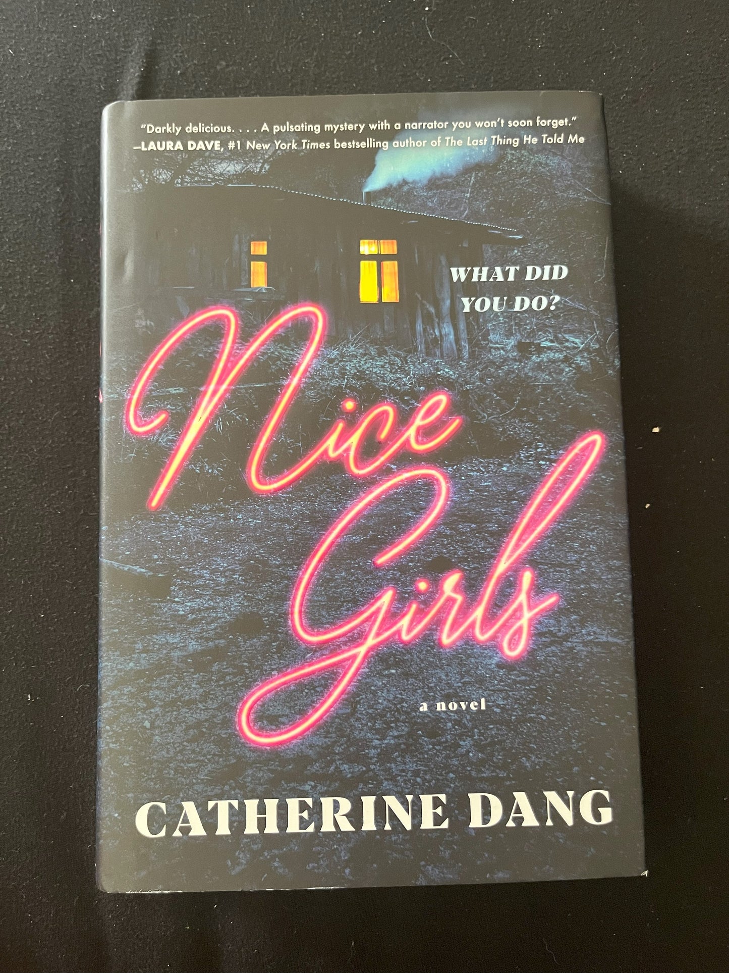 NICE GIRLS by Catherine Dang